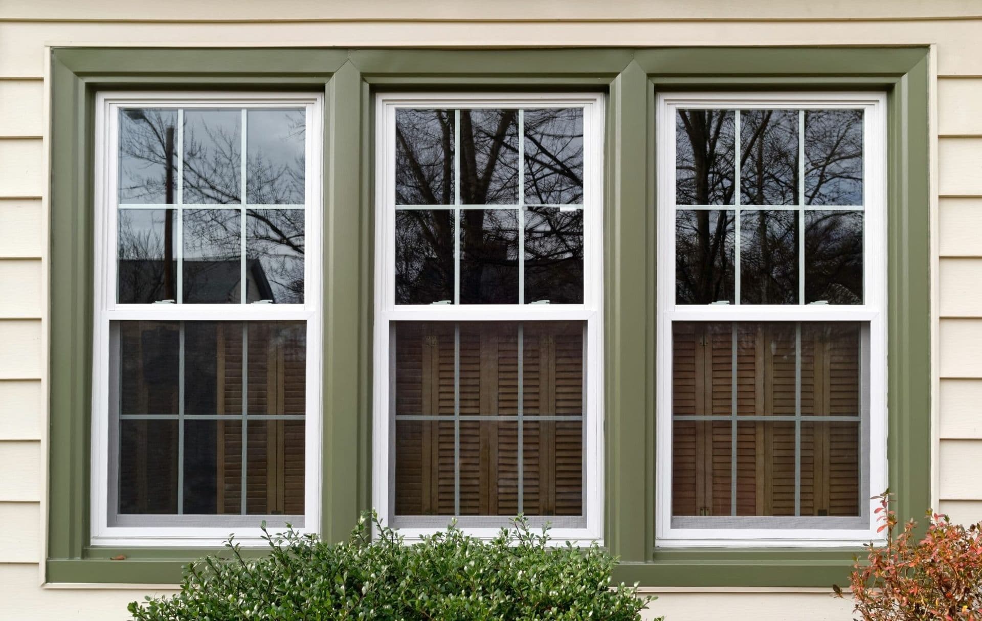 andersen windows