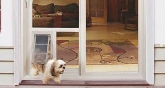 pet-door