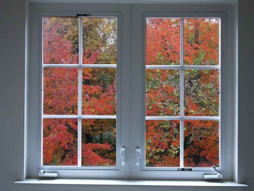 red leaves