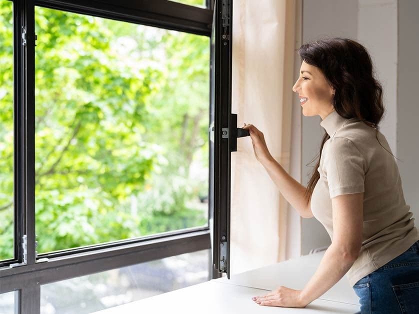 window lever