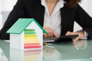 professional home energy audits